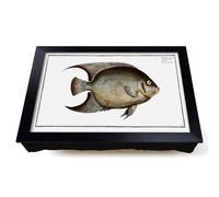 Lap Tray with Bean Bag Cushion, Hairy Angel Fish by M.E. Bloch