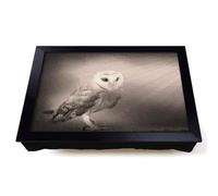 Lap Tray with Bean Bag Cushion, Light Upon The Barn Owl