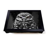 Lap Tray with Bean Bag Cushion, Little Owl