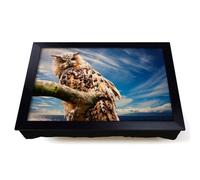 Lap Tray with Bean Bag Cushion, Owl On A Tree Branch