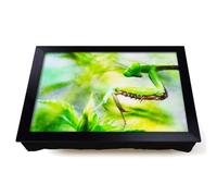 Lap Tray with Bean Bag Cushion, Peering Praying Mantis