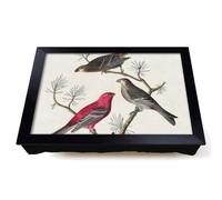 Lap Tray with Bean Bag Cushion, Pine Grosbeak Birds by John James Audubon
