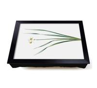 Lap Tray with Bean Bag Cushion, Primrose Flowers by Pierre Joseph Redoute | Raised Wooden Edge, Padded Cushion, Heat-Resistant Wipe-Clean Surface, for Meals, Laptops and Crafts