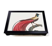 Lap Tray with Bean Bag Cushion, Red Bird Of Paradise by Jacques Barraband