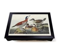 Lap Tray with Bean Bag Cushion, Ruddy Duck by John James Audubon