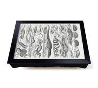Lap Tray with Bean Bag Cushion, Study Of Reptiles by Oliver Goldsmith