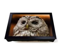 Lap Tray with Bean Bag Cushion, Tawny Owl