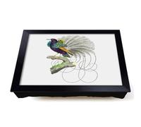 Lap Tray with Bean Bag Cushion, Vaillantian Paradise Bird by George Shaw