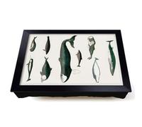 Lap Tray with Bean Bag Cushion, Various Whales Xxx by Oliver Goldsmith