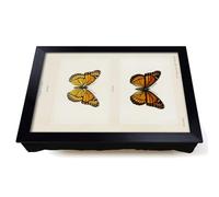 Lap Tray with Bean Bag Cushion, Viceroy Butterfly by S.F. Denton