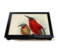 Lap Tray with Bean Bag Cushion, Vintage Natural History Bee Eaters