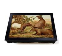 Lap Tray with Bean Bag Cushion, Vintage Natural History Indian & South