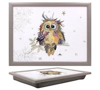 Lap Tray With Bean Bag Otto Owl Bug Art Cushioned Laptop Breakfast Bed Tray