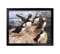 Lap Tray with Cushion | Atlantic Puffin Birds Vol.3 Painting | Padded Bean Bag Cushion | For Eating, Working, Crafting, Laptop | Portable Table Desk