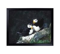 Lap Tray with Cushion | Atlantic Puffin Birds Vol.4 Painting | Padded Bean Bag Cushion | For Eating, Working, Crafting, Laptop | Portable Table Desk