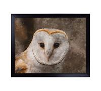 Lap Tray with Cushion | Barn Owl Vol.1 Painting | Padded Bean Bag Cushion | For Eating, Working, Crafting, Laptop | Portable Table Desk