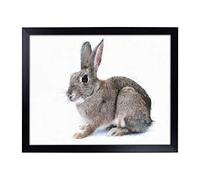 Lap Tray with Cushion | Brown Bunny Rabbit Painting | Padded Bean Bag Cushion | For Eating, Working, Crafting, Laptop | Portable Table Desk