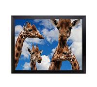 Lap Tray with Cushion | Giraffes 4 | Padded Bean Bag Cushion | For Eating, Working, Crafting, Laptop | Portable Table Desk