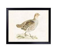 Lap Tray with Cushion | Grey Partridge by Von Wright | Padded Bean Bag Cushion | For Eating, Working, Crafting, Laptop | Portable Table Desk