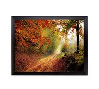 Lap Tray with Cushion | Landscape Autumn Fall Woodland Forest | Padded Bean Bag Cushion | For Eating, Working, Crafting, Laptop | Portable Table Desk