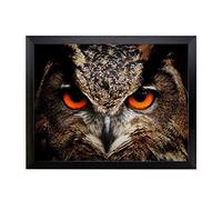 Lap Tray with Cushion | Owl Bird (8) | Padded Bean Bag Cushion | For Eating, Working, Crafting, Laptop | Portable Table Desk