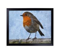 Lap Tray with Cushion | Robin Bird Vol.1 Painting | Padded Bean Bag Cushion | For Eating, Working, Crafting, Laptop | Portable Table Desk