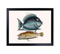 Lap Tray with Cushion | Tang Fish & Yellow Fish by Mark Catesby | Padded Bean Bag Cushion | For Eating, Working, Crafting, Laptop | Portable Table Desk