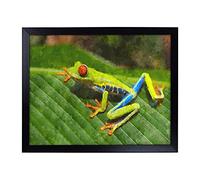 Lap Tray with Cushion | Tree Frog Vol.2 Painting | Padded Bean Bag Cushion | For Eating, Working, Crafting, Laptop | Portable Table Desk