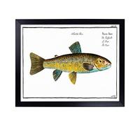 Lap Tray with Cushion | Trout Fish by M.E. Bloch | Padded Bean Bag Cushion | For Eating, Working, Crafting, Laptop | Portable Table Desk