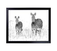 Lap Tray with Cushion | Two Zebras Painting | Padded Bean Bag Cushion | For Eating, Working, Crafting, Laptop | Portable Table Desk