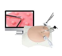 Laparoscopic Simulator - Life Size Training Box with HD Camera, Instruments & Modules for Practical Training
