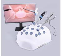 Laparoscopic Surgery Simulation Trainer - Advanced Pneumoperitoneum-Like Training Box with Endoscopic Module & 4 Operating Instruments