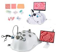 Laparoscopic Trainer Box Suture Practice Kit with 4 Instruments & 10 Training Modules for Surgical Simulation Training