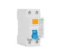 Lapiglo 2P 10mA RCCB Circuit Breaker 6kA 230V Residual Current Device with Wiring Diagram Home Electrical Safety for Protection