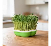 Lapiglo Indoor Soilless Microgreens Growing Kit, Sprouting Jars with Lids for Fresh Herbs, Compact Vegetable Garden Tray for Home Kitchen White
