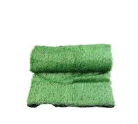 Lapiglo Synthetic Grass Mat 200x200cm Green Artificial Lawn Turf Garden Landscape Balcony Playground Pet Area Home Office Decoration
