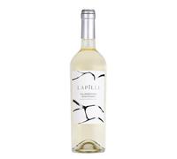 Lapilli FALANGHINA BENEVENTANO IGT - White Wine from Campania - Fresh, Fruity, Mineral & Citrusy - Notes of Pineapple, White Flowers & Citrus - 13,5% vol - 750 ml