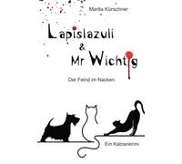 Lapislazuli & Mr Wichtig - Der Feind im Nacken