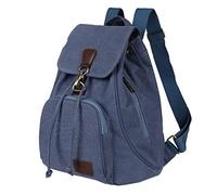 Laptop Bag Men And Ladies Fashion Solid Color Cloth Large Capacity Schoolbag Adjustable Shoulder Belt Double Zipper Backpack Backpack Laptop Bag for Women (Blue, One Size)