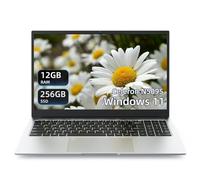 Laptop Computer 15.6" Windows 11 Pro 16GB RAM with Notebook 256GB ROM, N5095 CPU Processors up to 2.9 GHZ, 5G WiFi/BT 4.2/HDMI - Business Laptop/Student Computer, Small Laptop with Wired Mouse & Pad