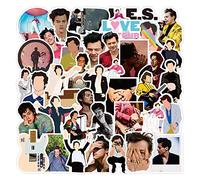 Laptop Sticker Pack 100 Pcs, Harry-Singer Sticker Unique Cool Stickers Waterbottle Notebook Guitar Skateboard Travel Teens Stickers