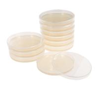 LAPYAPPE 10pcs Portable Prepoured Agar Plates Nutrient Petri Dishes for Science Fair Projects School Experiments Microbial Culture Supplies