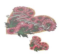 LAPYAPPE 2pcs Colorful Iron Heat Transfer Stickers Adorable Heart Butterfly Clothes Patches for DIY Clothing Decoration Washable and Easy to Use Jeans Jackets Hats Backpacks