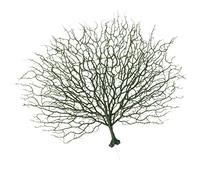LAPYAPPE Fake Coral Branch Plastic Decoration for Aquarium and Home Realistic Green Simulation Coral Ornament and Fade Resistant Landscape Prop for Wedding and Fish Tank Decor