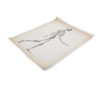 LAPYAPPE Human Anatomy Skeletal System Poster Canvas Print Clear Medical Skeleton Chart for Physiology Education Decorative Wall Art for Study Rooms and Clinics