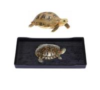 LAPYAPPE Small Black Reptile Bathing Tray and Feeding Dish Shallow Water Bowl for Turtles Lizards Bearded Dragons Snakes Gecko Stable Anti-flip Basin for Drinking and Bathing
