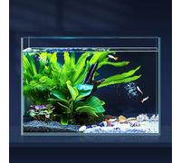 LAQUAL Fish Tank 10 Litre with Fish Net & 1 Water Changer Siphon, Aquarium Made Of Crystal Clear Glass, Small Fish Tank/Aquarium for Betta & Goldfish, Nice Home Décor