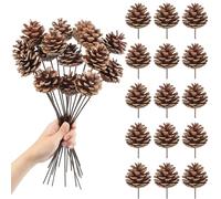 Larber 15pcs Natural Pine Cones Decoration 30CM Pine Cones Ornaments with Stem Pinecone Picks for Christmas Tree Ornament Vase Party Holiday DIY Craft Home Decoration