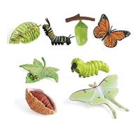 Larfraecy Butterfly Growing Kit with Caterpillars 8PCS Caterpillar to Butterfly Kit Insect Life Cycle Grow Your Own Butterfly Kit for Nature Study & Science Learning Realistic Luna Moth Stages Model