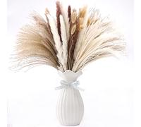 Larfraecy Natural Dried Pampas Grass Bunny Tails Dried Flowers Bouquet for Vase,Fluffy Boho Home Decor for Wedding Arrangement DIY Crafts,Long-Lasting Dry Flowers for Home Decoration (80Pcs)